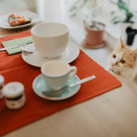 Eco-friendly La Pecora Nera