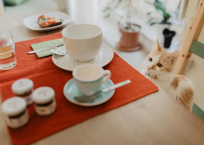 Eco-friendly La Pecora Nera