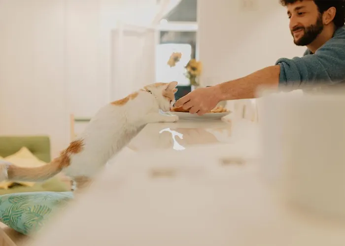 Eco-friendly La Pecora Nera * Matera