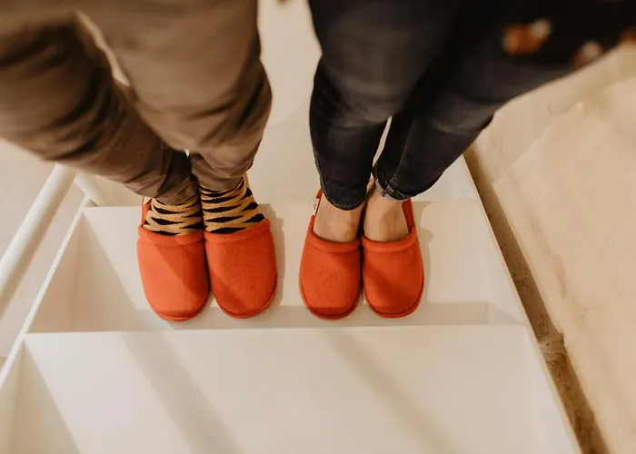 Panzió Eco-friendly La Pecora Nera